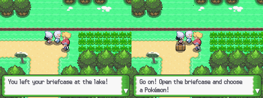 Platinum - Route 201 4