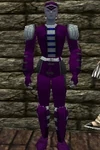 Leather Armor Relanim Live