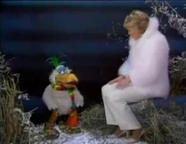 Snow bird