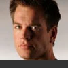 1portal-anthonydinozzo