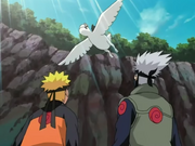 Narutokakashivsdeidara