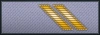 shoulder insignia.