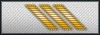 shoulder insignia.