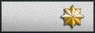 Sleeve insignia.