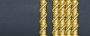 sleeve insignia.