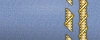 sleeve insignia.