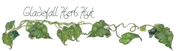 Gladefall Herb Hut.jpg