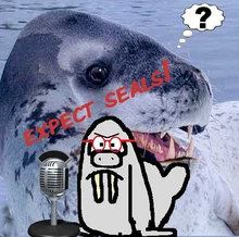 EXPECT SEALS.png