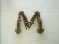 Wegmandogs.M