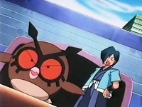 EP133 Hoothoot de Pegaso