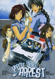 Youre-under-arrest