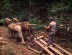 FilmWorkHorses