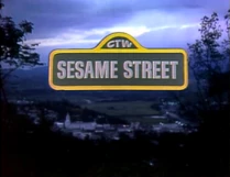 SS1316