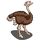 Female Ostrich