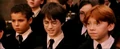 Students9 harry.PNG