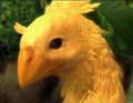 Cocoonchocobo.png