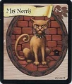 Norris as a Orange cat in a card.PNG