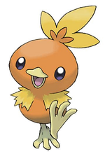255Torchic