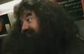 Deleted Scene Hagrid2.PNG