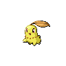 Chikorita E variocolor