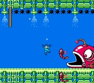 MM2BubbleStage