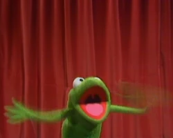 Robin-yaaaaay