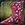 Cherry Boots