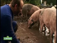 Folge2520-8
