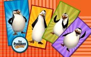 POM-Cards