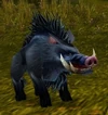 Longsnout