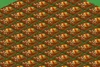 Nachoseeds