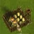 Barbarian Camps