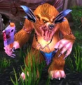 GnarlpineAugur.JPG