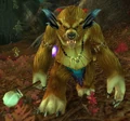Deadwood Shaman.jpg