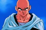 Tenshinhan14