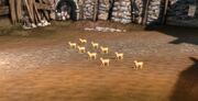Creature-Zombie Kitten Army