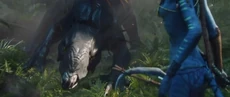 Thanator invite Neytiri for a rideII