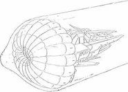 Argama-ballutesystem