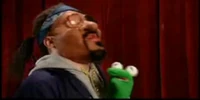 Boselecta1