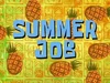 Summer-Job