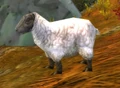 Polymorph Clone.jpg