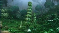 Episoth Baum.jpg