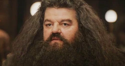 Rubeus Hagrid.jpg