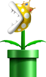 Mushroom King NSMBDIY