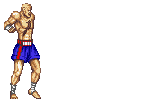 Snes ssf2 sagattiger