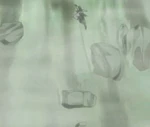 Ninpu iwa nadare