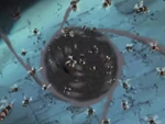 Mushi kabe no jutsu