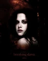 Bella - breaking dawn.jpg