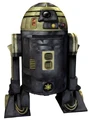 R3-S6.jpg