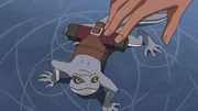 Messanger Lizard